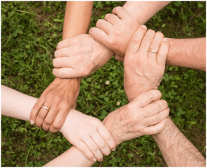 ground-group-growth-hands