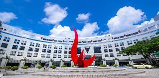 Building MBA