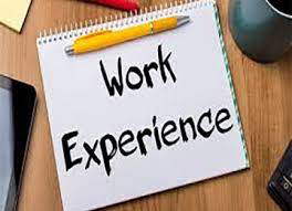 Work experience