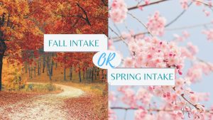 Fall and Spring Semester Intakes MBA